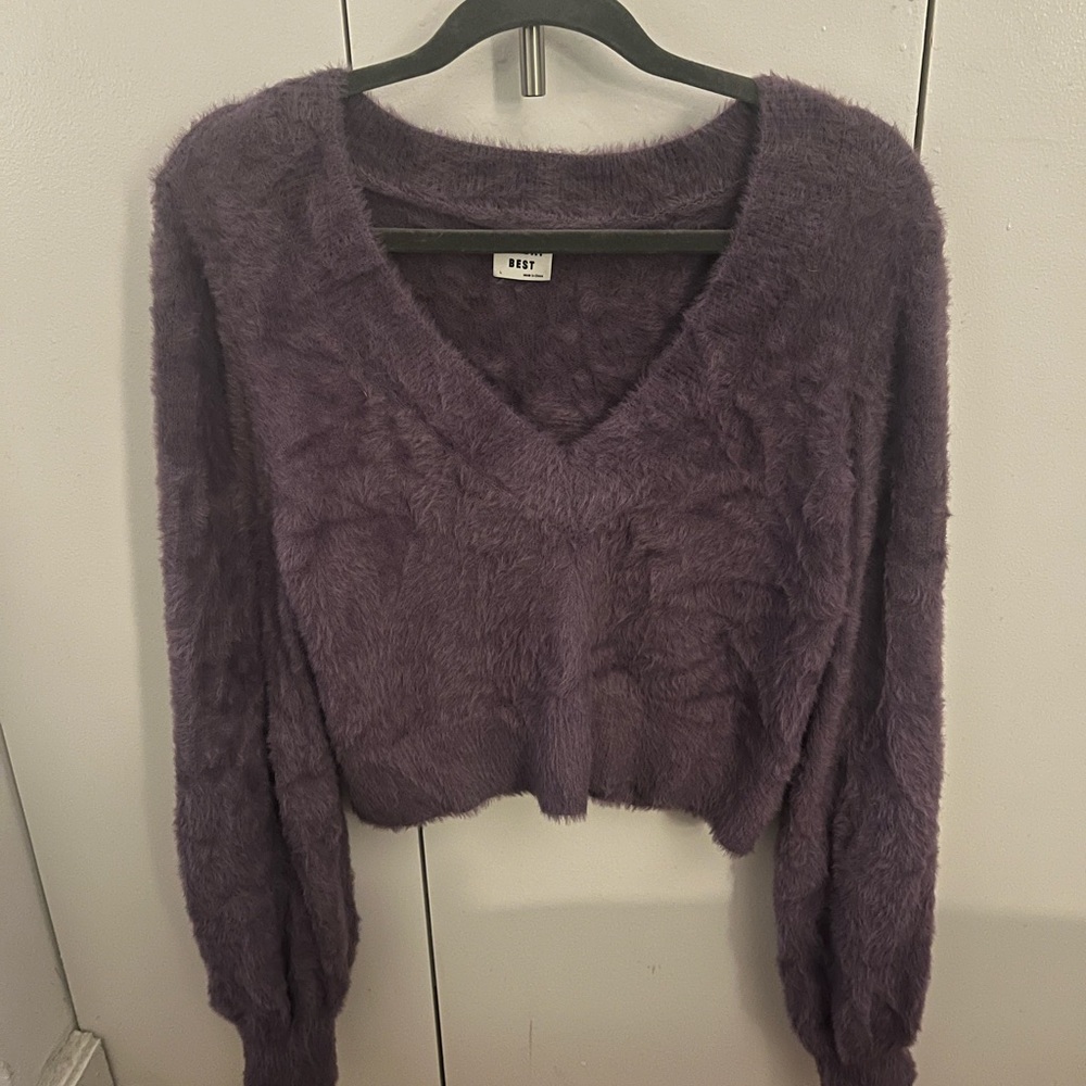 Aritzia Sunday best kitten Vneck